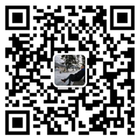 bocai.com